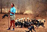 Tony Fitzjohn - mkomazi african wild dogs