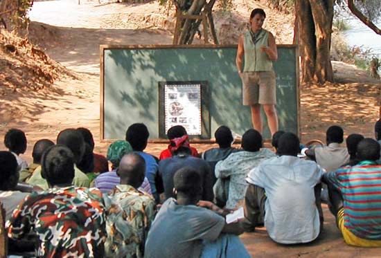 Helping to save the African Wild dog - Education and Conservation